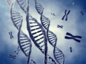 Genetic engineerring