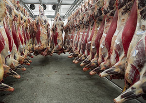 shutterstock_70279201