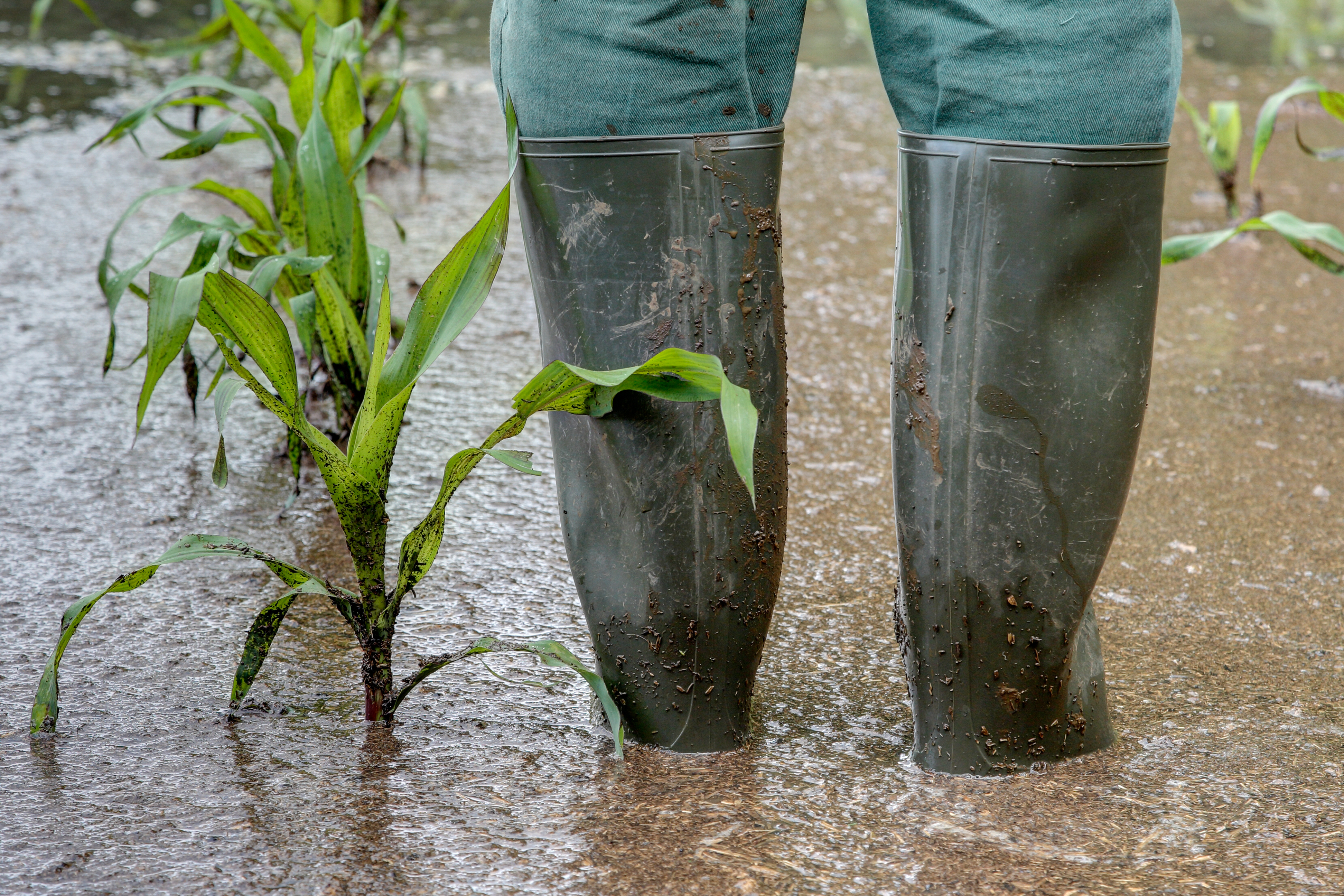 L’État renforce son soutien aux agriculteurs affectés par les inondations exceptionnelles en Hauts-de-France.
