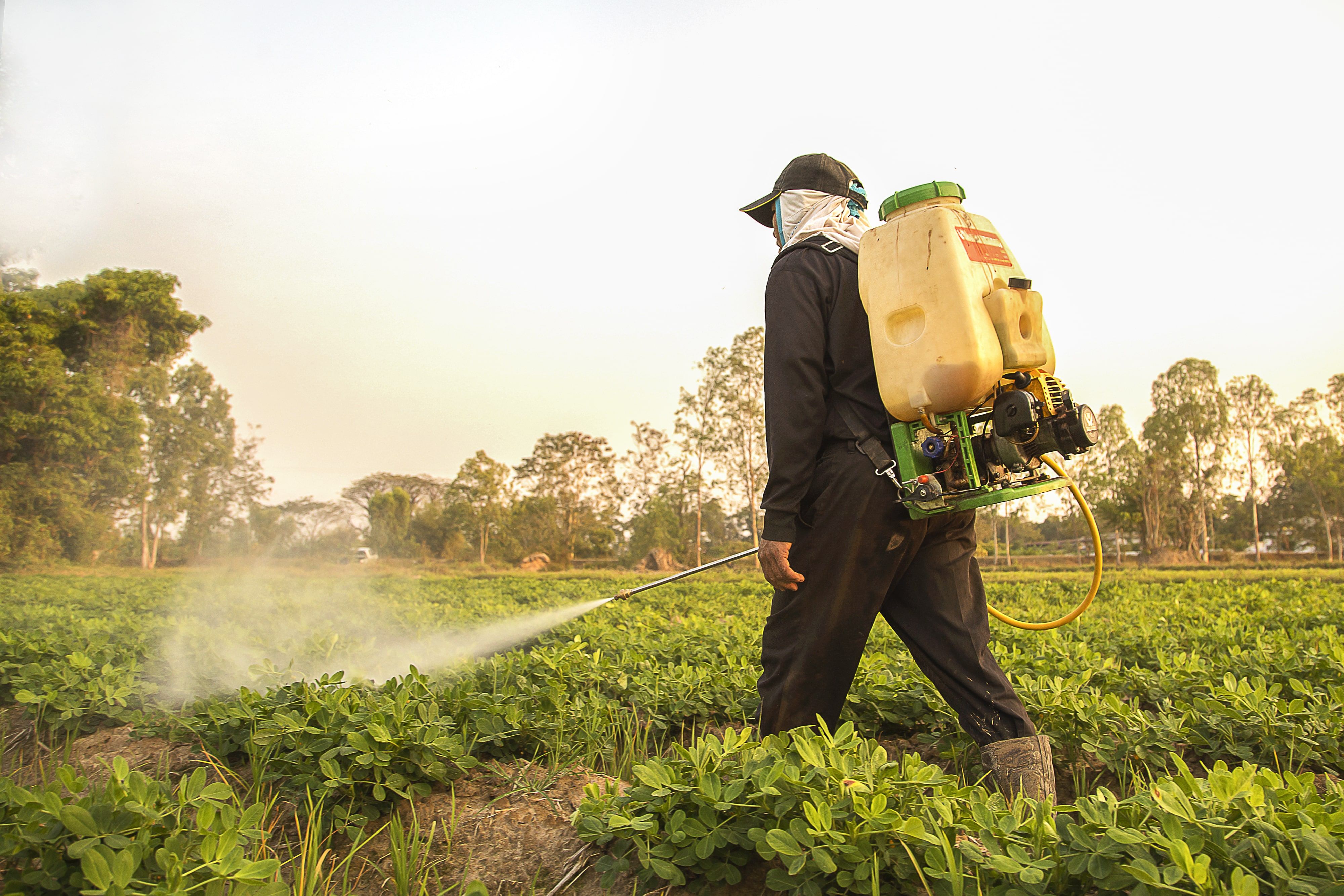 Glyphosate - tout comprendre sur l'herbicide en 7 questions