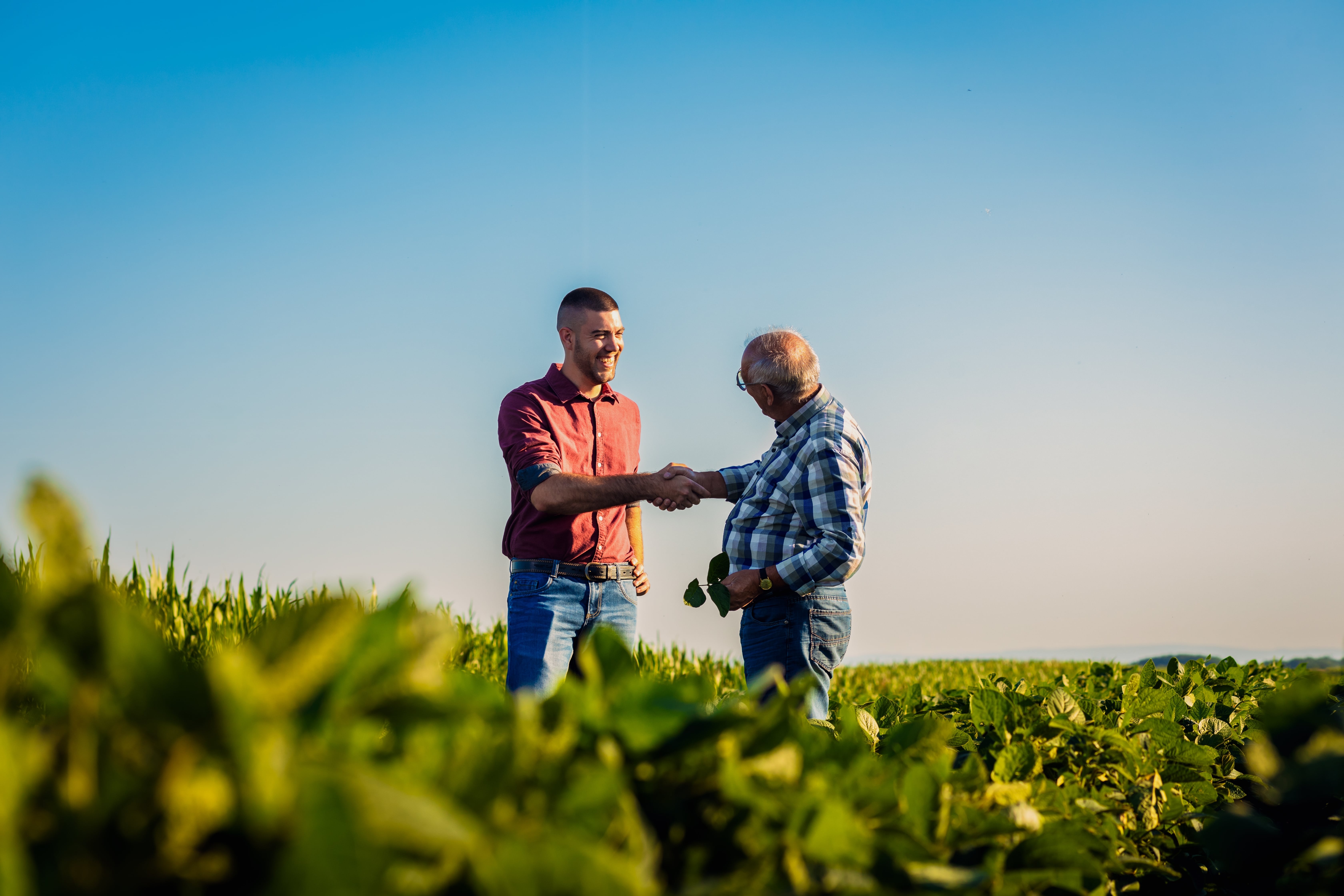 Des mesures complémentaires pour les agriculteurs-min