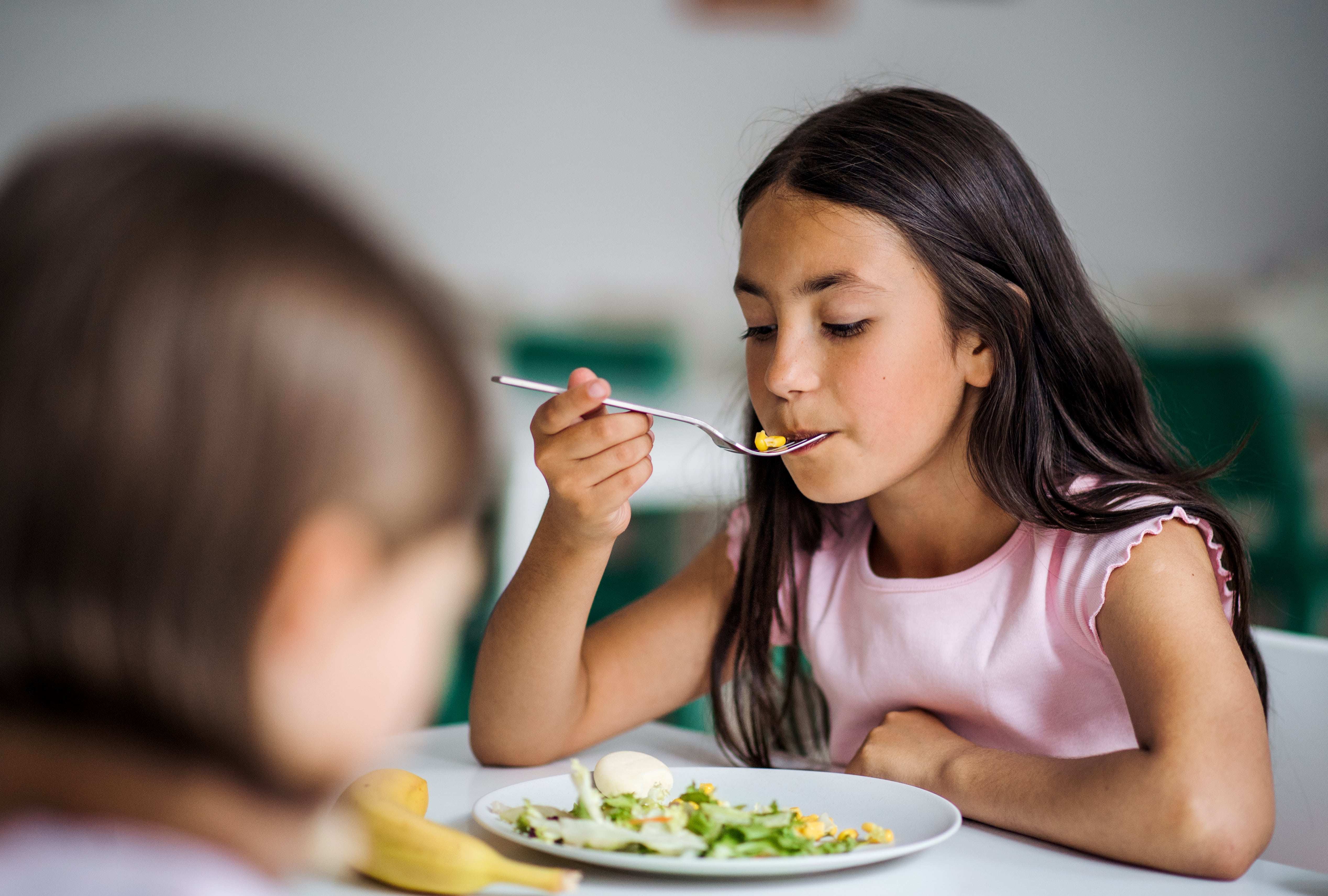 ACCUEIL D’UN ENFANT ALLERGIQUE (ÉCOLE, CRÈCHE, NOUNOU…)