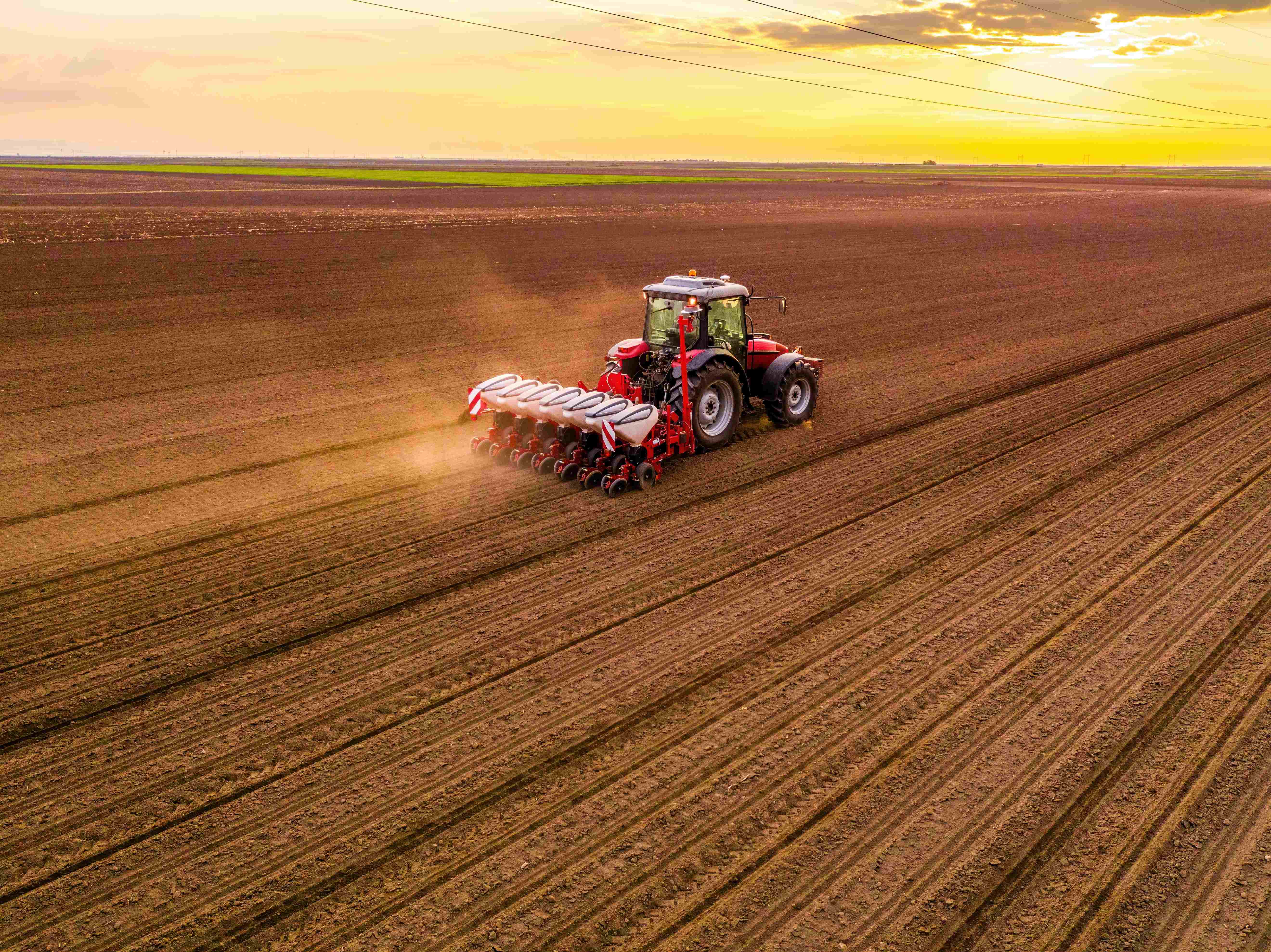 Agriculture européenne, quelles pistes pour l'avenir de la PAC en 2028