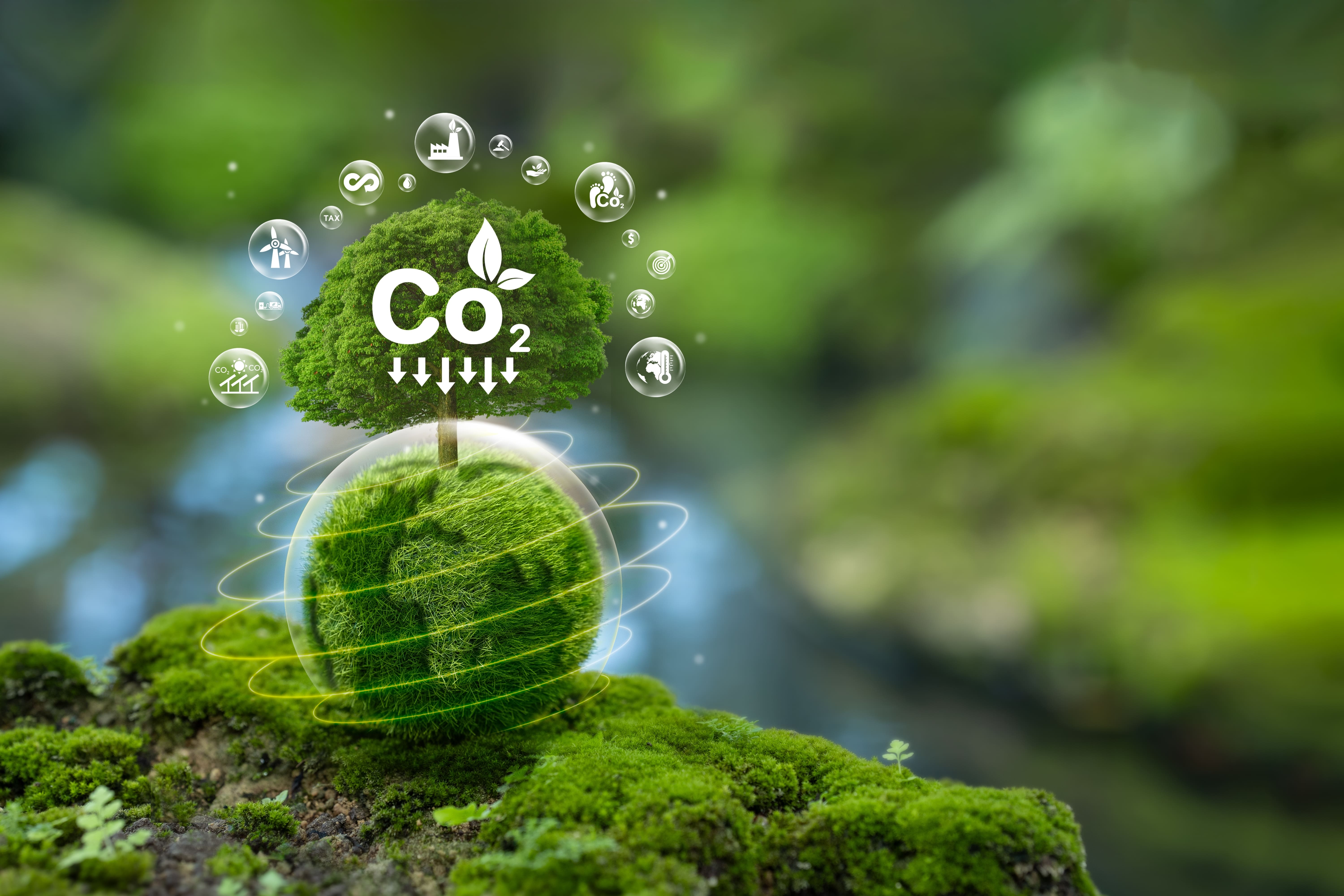 Transition écologique quelles conséquences économiques ?