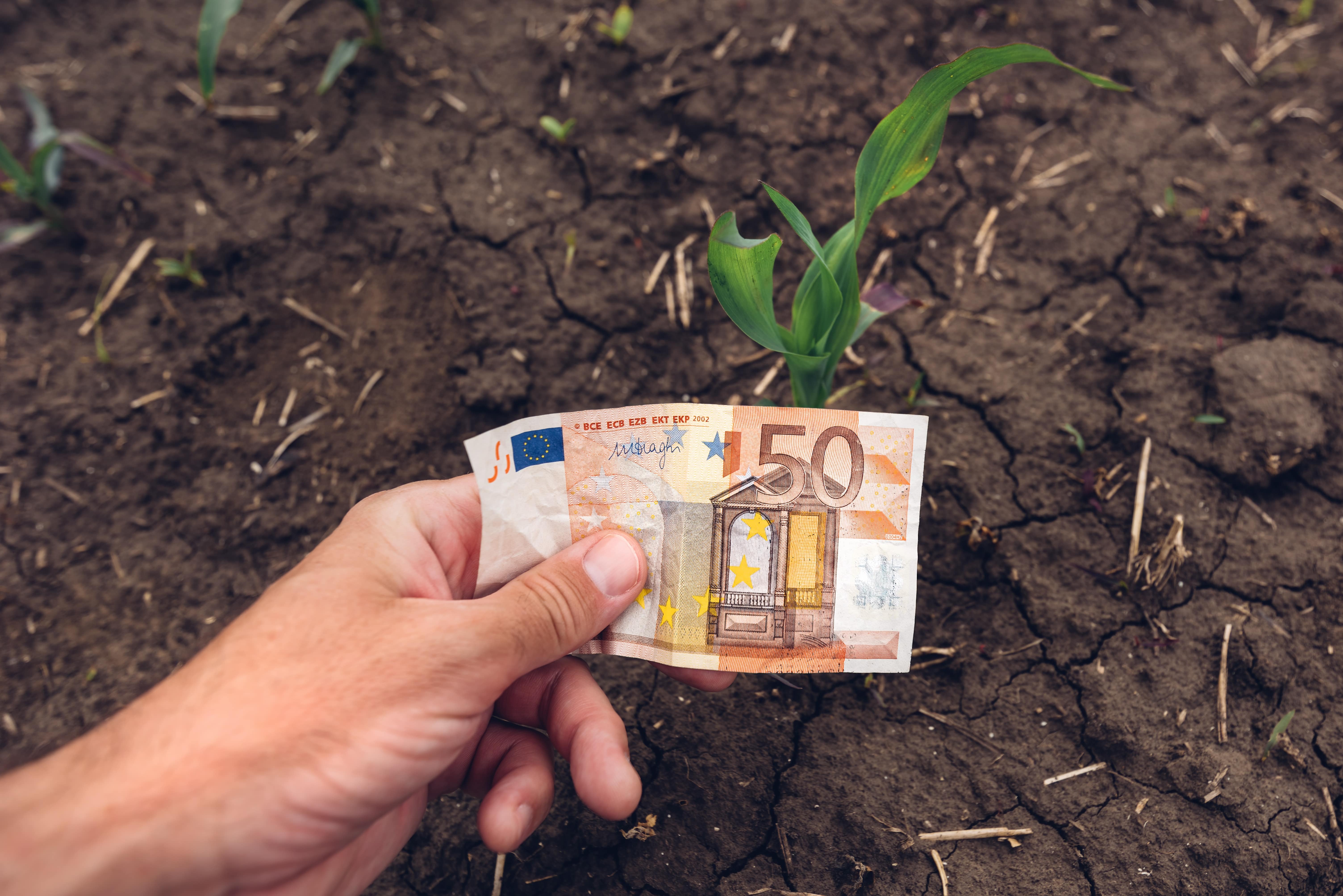 L’excédent agroalimentaire français recule en 2024-min