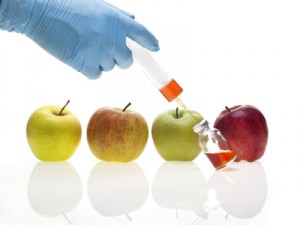 Genetic experiment