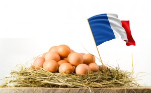 Easter eggs in nest on rustic wooden planks. White background