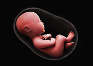 in-utero_368762915-300x214